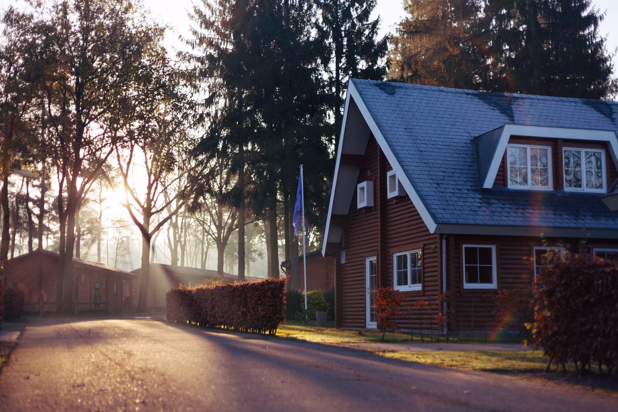 Quiet tree lined road representing privacy
